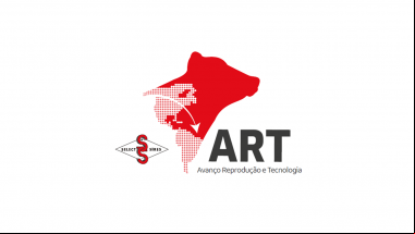 Programa ART